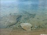 Playa el Gallito - VIEQUES